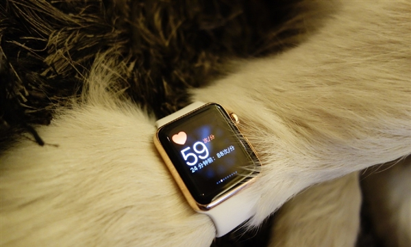Con trai tỷ phú Trung Quốc đeo Apple Watch cho chó