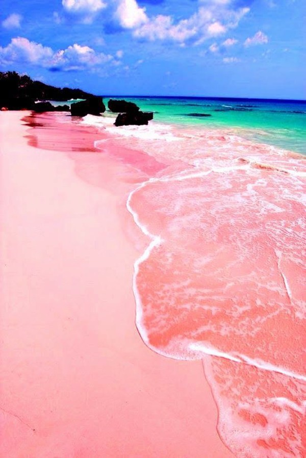 Bờ biển cát hồng nên thơ đẹp như thiên đường hạ giới