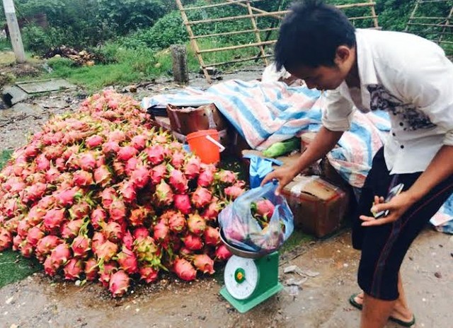 Thanh long, bình thuận, giá rẻ, vỉa hè, Hà Nội, thương lái, ép giá, xuất khẩu, Trung Quốc, phá giá, thanh-long, Bình-Thuận, giá-rẻ, vỉa-hè, Hà-Nội, thương-lái-ép-giá, xuất-khẩu, Trung-Quốc, phá-giá, nhân-dân-tệ