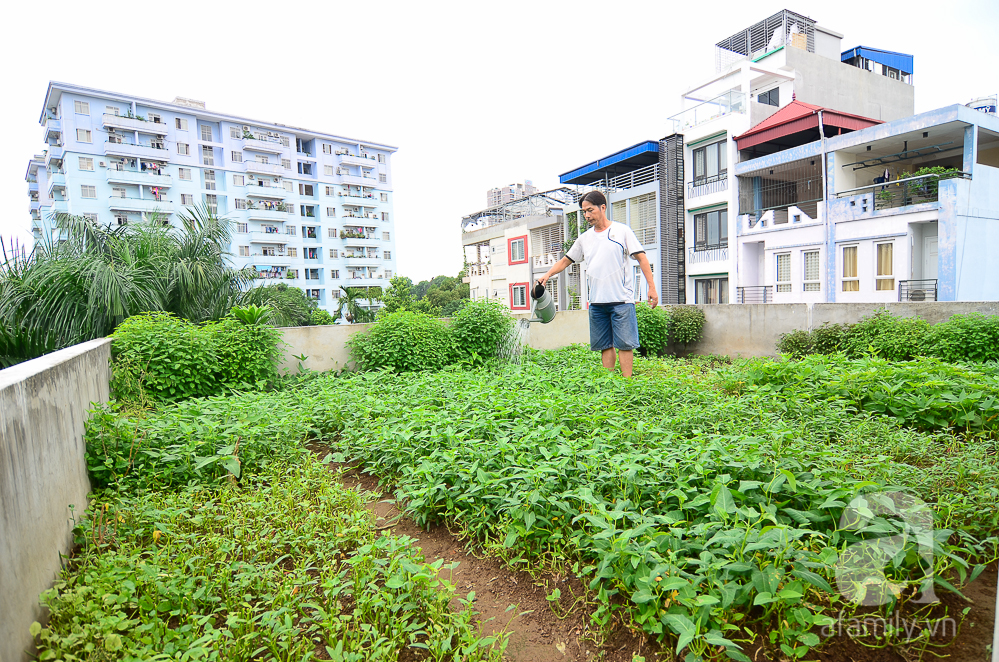 Mô hình vườn ao chuồng VAC xây dựng ra sao  Farmvina Nông Nghiệp