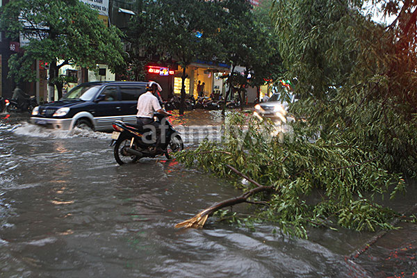 B&atilde;o số 5 về, H&agrave; Nội mưa d&ocirc;ng lớn từ 4h chiều