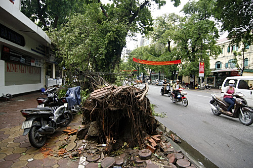 H&agrave; Nội x&aacute;c xơ sau b&atilde;o số 5