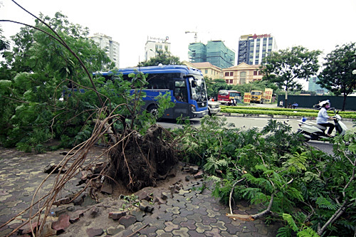 H&agrave; Nội x&aacute;c xơ sau b&atilde;o số 5