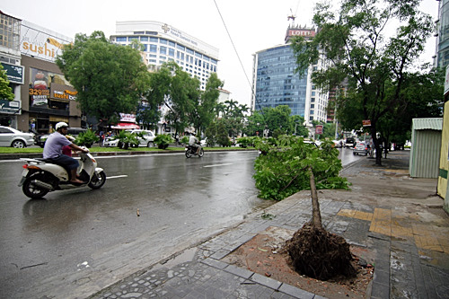 H&agrave; Nội x&aacute;c xơ sau b&atilde;o số 5