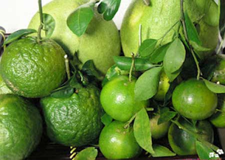 Những loại rau, củ, quả nên ăn trong mùa thu Những loại rau, củ, quả nên ăn trong mùa thu