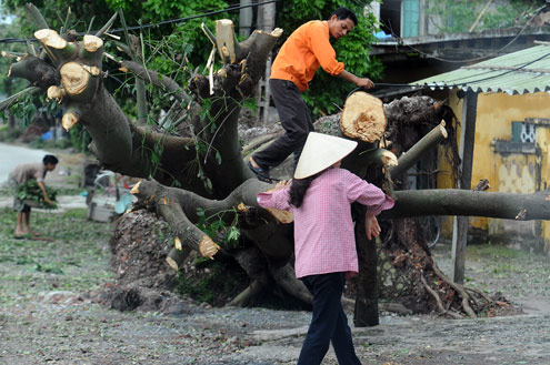 Cảnh đổ nát ở tâm siêu bão Sơn Tinh 14