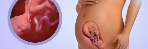 Tuần thai thứ 30: Cần bổ sung nhiều dưỡng chất