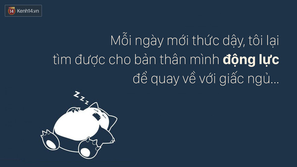  - Ảnh 5.