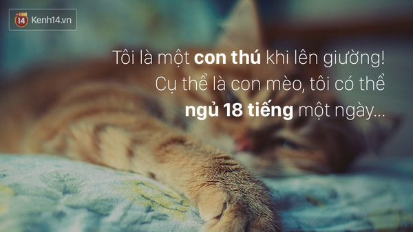  - Ảnh 8.