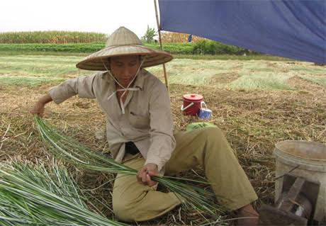 - Ảnh 2 10 nam bi chong bao hanh cua pho chu tich quy hang ty do la - Anh 2