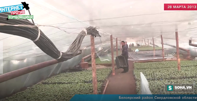 Chấn động: Rau quả Trung Quốc đầu độc h&agrave;ng trăm trẻ em Nga - Ảnh 1.