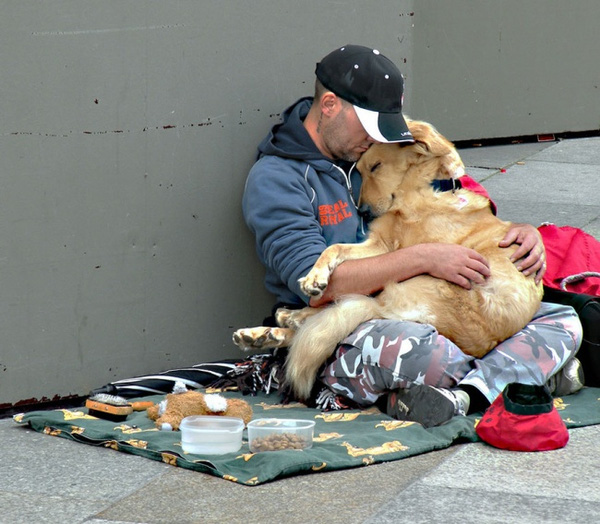 15 khoảnh khắc "chó không chê chủ nghèo" cảm động nhất thế giới