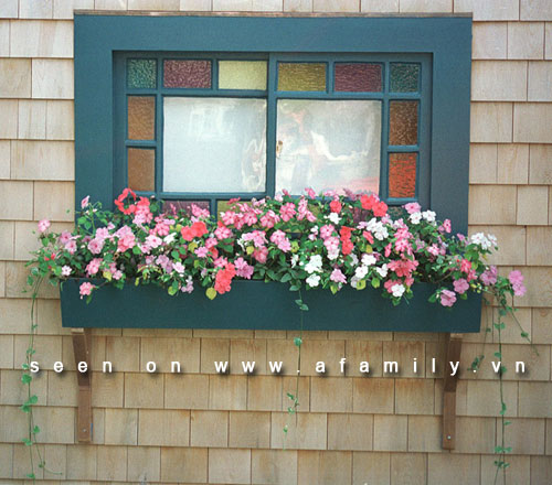 Làm đẹp căn hộ bằng những bồn hoa độc đáo bên cửa sổ