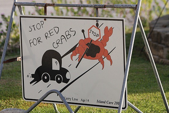 1.1260117075.red-crab-awareness-ign.jpg