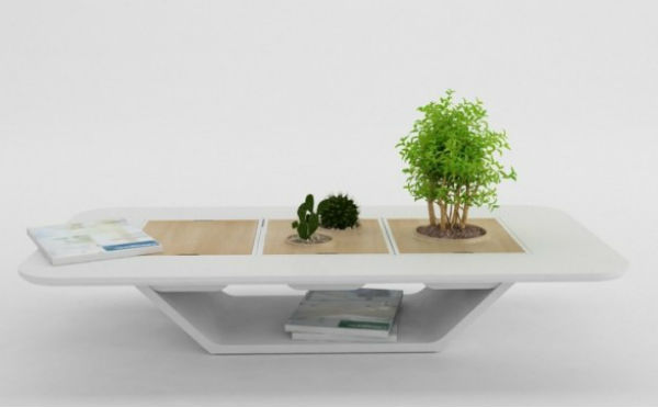 Bài trí bonsai cho không gian hiện đại