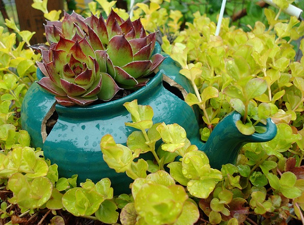 Nhà đẹp vườn xinh nhờ... ấm chén Nhà đẹp vườn xinh nhờ... ấm chén