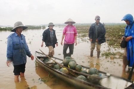 Quang Nam khang dinh khong con dua hau “e“