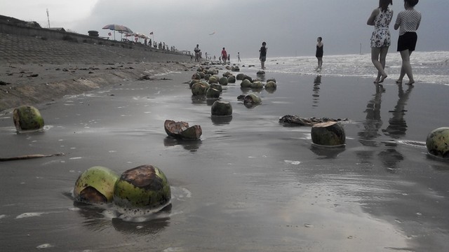 Dọc bãi biển ngập tràn vỏ dừa và rác thải của khách du lịch