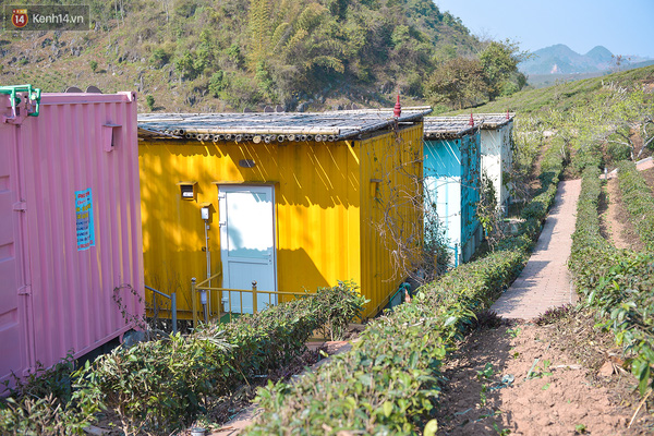 Lên Mộc Châu, ngủ nhà container đầy sắc màu giữa rừng mận trắng ...