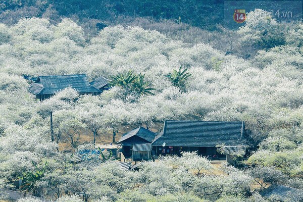 Tết này, ngao du Việt Nam đẹp như tranh qua 16 cung đường phượt lạ mà quen - Ảnh 11.