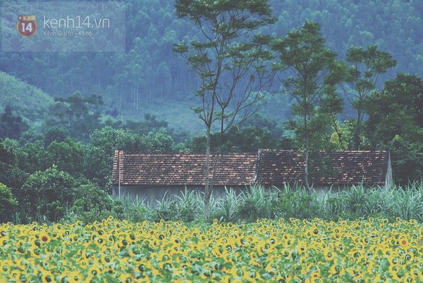 Tết này, ngao du Việt Nam đẹp như tranh qua 16 cung đường phượt lạ mà quen - Ảnh 32.