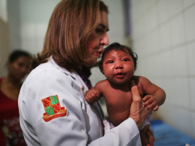 Một nhóm bác sĩ Argentina cho rằng dịch teo não bất thường ở trẻ sơ sinh tại Brazil không phải do virút Zika mà do một loại hóa chất diệt ấu trùng có trong nguồn nước sinh hoạt - Ảnh: Techtimes