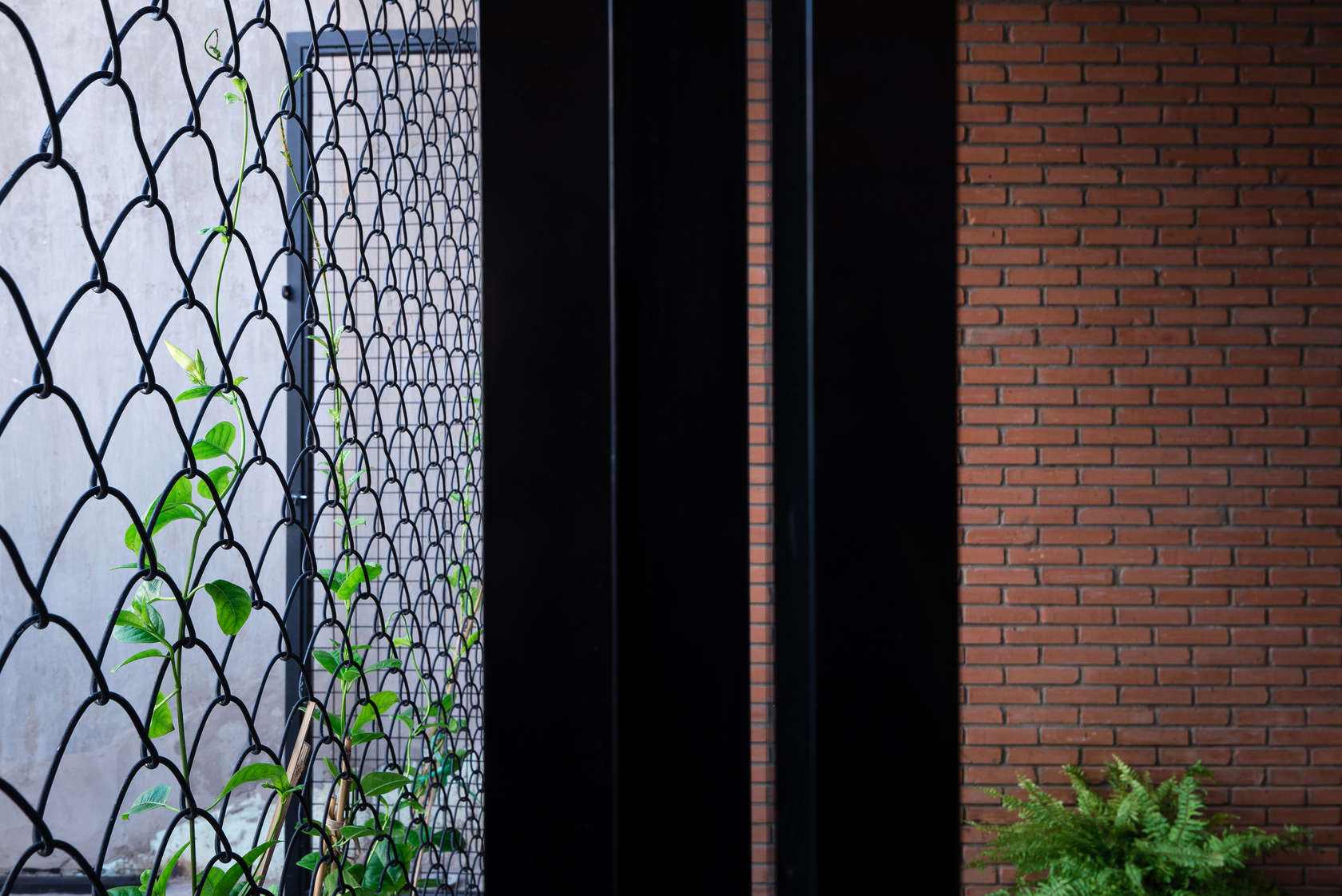 600 triệu đồng và ngôi nhà nhỏ 24.5m² đẹp đến “nghẹt thở” giữa lòng Sài Gòn