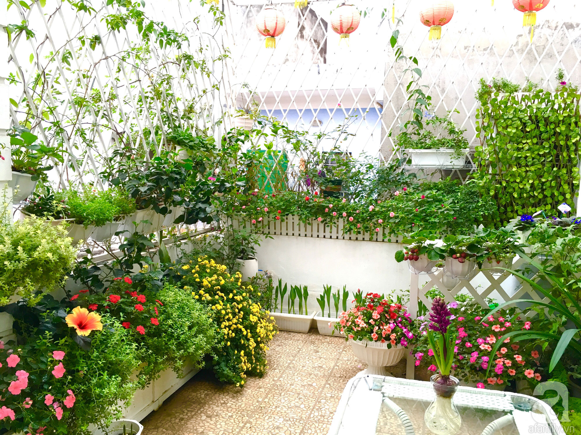 Bà mẹ sở hữu khu vườn 15m² tràn ngập sắc hoa đáng “ghen tị” ở Kim ...