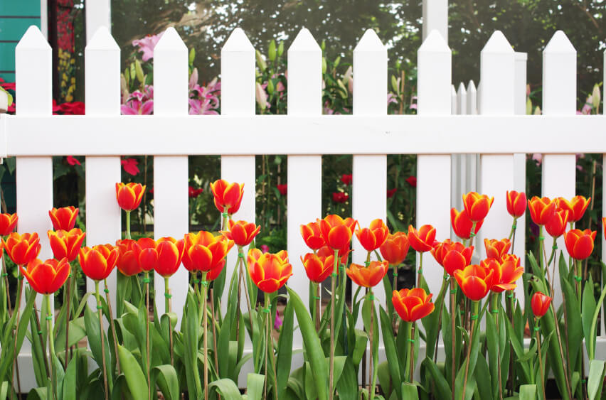 Hàng rào đơn giản nhưng vô cùng tinh tế sẽ làm cho ngôi nhà của bạn trở nên nổi bật hơn. Nhấp vào đây để xem những mẫu hàng rào đẹp mắt này.