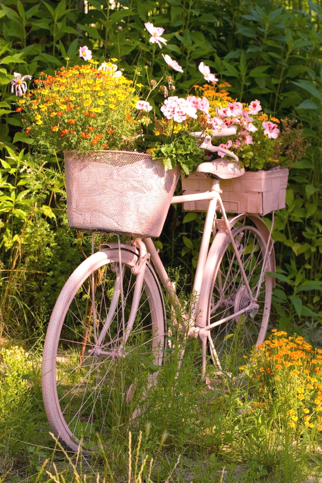 Những ý tưởng trang trí sân vườn với xe đạp vô cùng lãng mạn và ...
