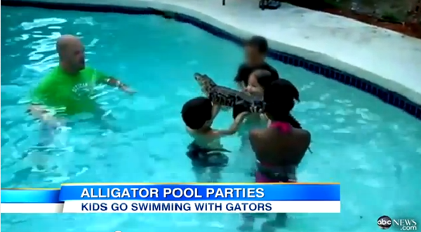 Bạn có dám cho trẻ bơi cùng... cá sấu?