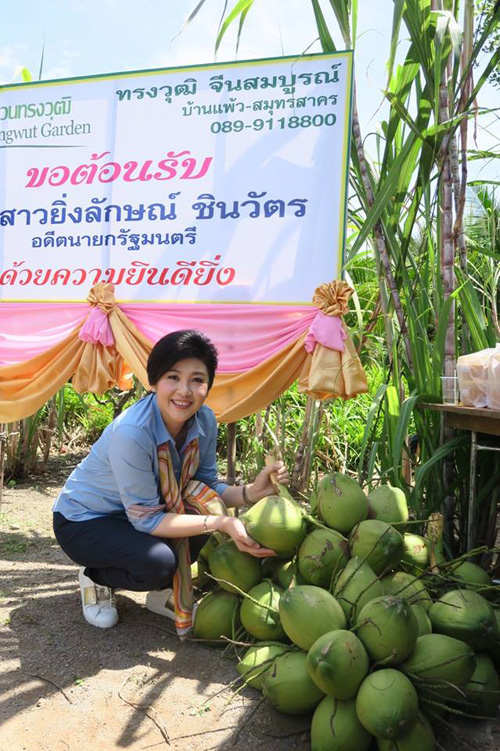 Thái Lan, Thủ tướng, Yingluck Shinawatra, facebook