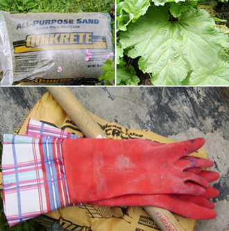 Trang tr&iacute; vườn nh&agrave; bằng chiếc l&aacute; vĩnh cửu 1