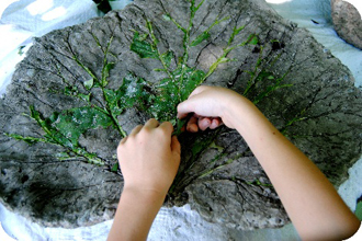 Trang tr&iacute; vườn nh&agrave; bằng chiếc l&aacute; vĩnh cửu 6