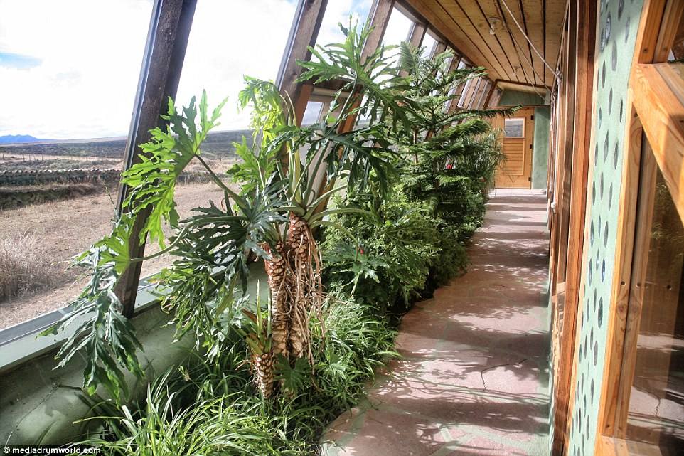 Each of the homes features its own internal green house area and is able to harvest and store rainwater 