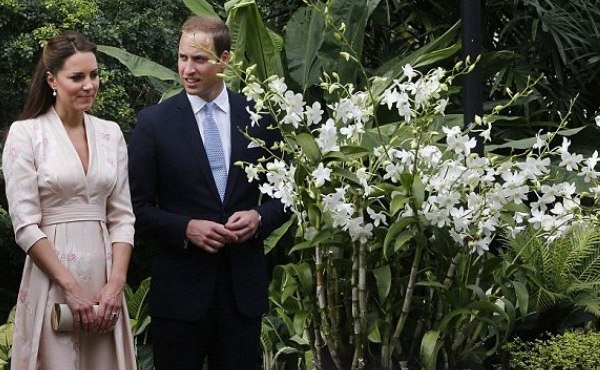 Hoàng tử William muốn bỏ tù kẻ tung ảnh nóng của vợ