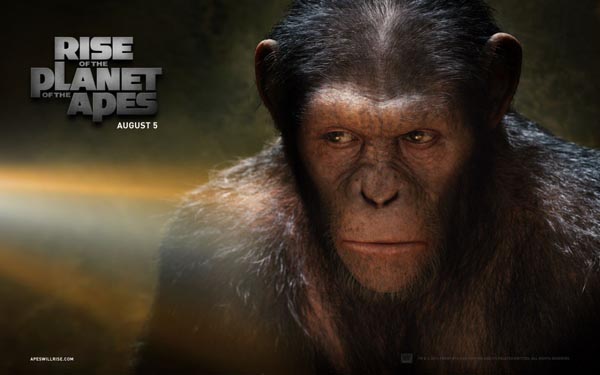 Phim HBO, Star Movies 23/9: Sự nổi dậy của loài khỉ