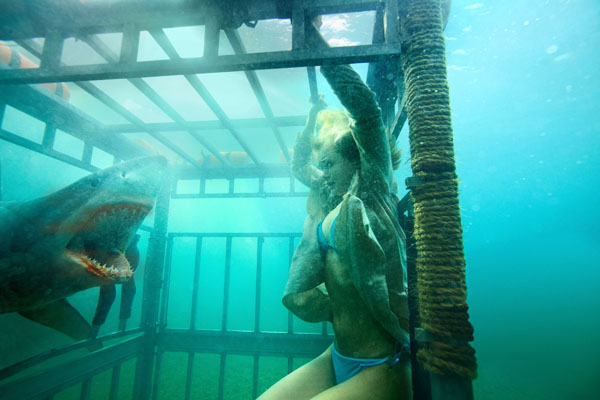 Phim HBO, Star Movies ngày 5/8: Đầm cá mập 