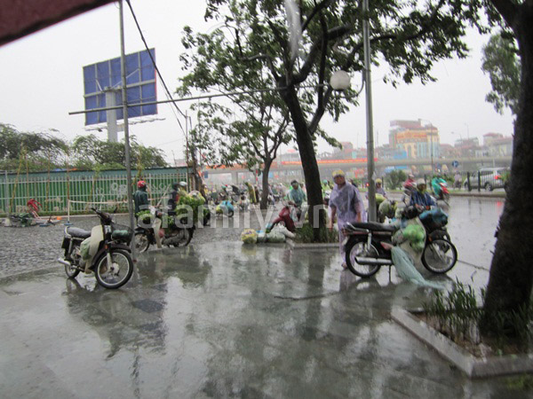 H&agrave; Nội: B&atilde;o số 5 chưa g&acirc;y &ldquo;b&atilde;o gi&aacute;&rdquo;