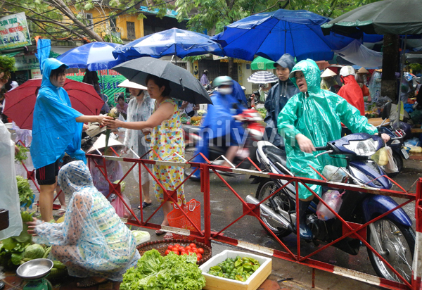 H&agrave; Nội: B&atilde;o số 5 chưa g&acirc;y &ldquo;b&atilde;o gi&aacute;&rdquo;