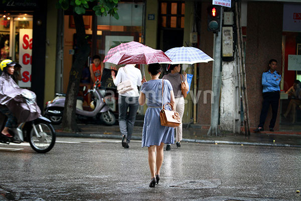 Ch&ugrave;m ảnh H&agrave; Nội một ng&agrave;y mưa