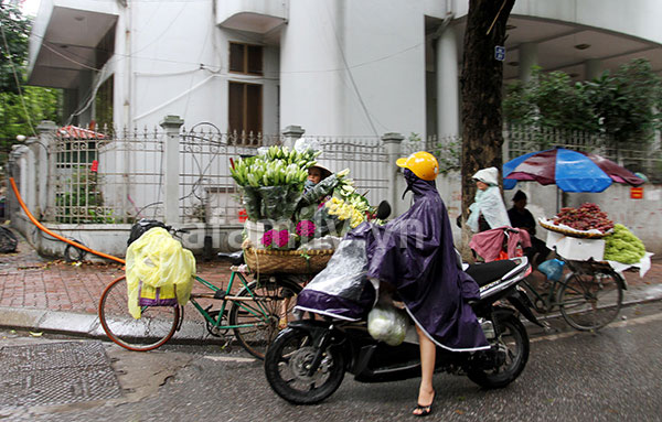Ch&ugrave;m ảnh H&agrave; Nội một ng&agrave;y mưa