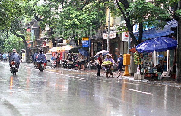 Ch&ugrave;m ảnh H&agrave; Nội một ng&agrave;y mưa