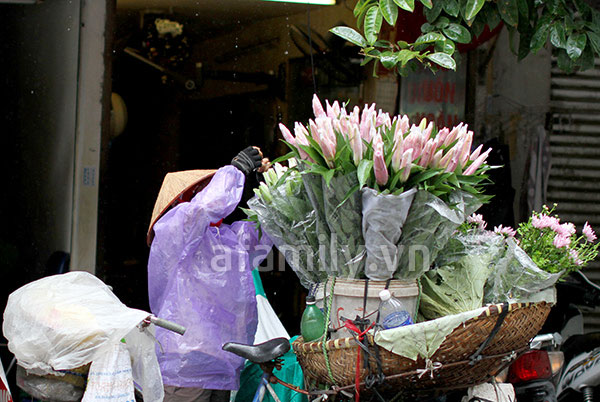 Ch&ugrave;m ảnh H&agrave; Nội một ng&agrave;y mưa