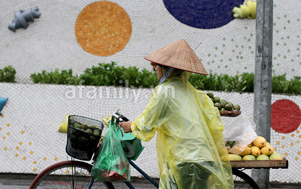 Ch&ugrave;m ảnh H&agrave; Nội một ng&agrave;y mưa