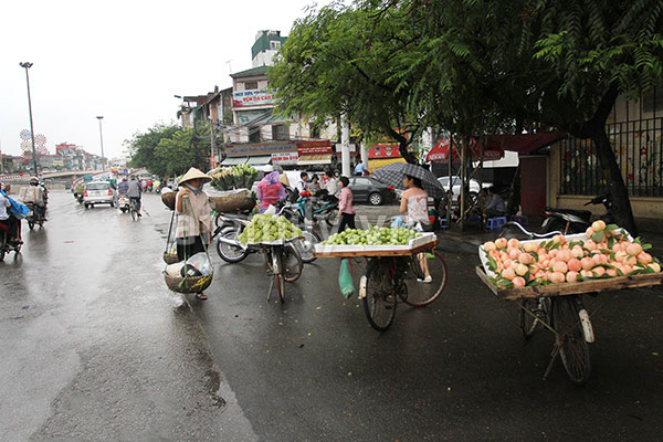 Ch&ugrave;m ảnh H&agrave; Nội một ng&agrave;y mưa