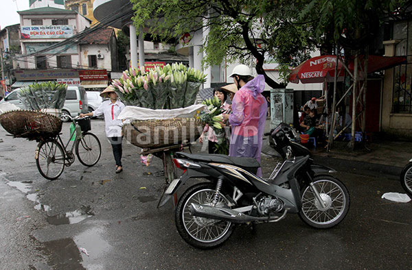Ch&ugrave;m ảnh H&agrave; Nội một ng&agrave;y mưa
