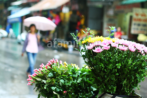 H&agrave; Nội nhộn nhịp sắm đồ lễ Rằm th&aacute;ng 7