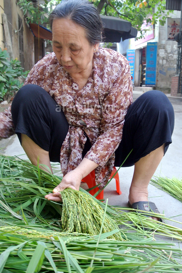 Cốm Mễ Trì - Sắc thu Hà Nội