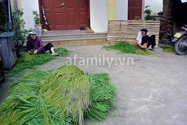 Cốm Mễ Trì - Sắc thu Hà Nội